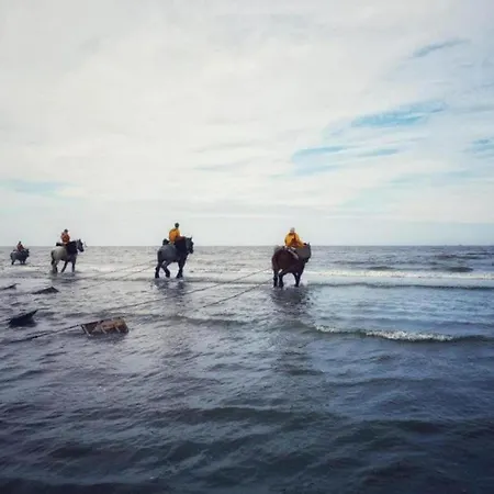 Nieuwpoort Near Promenade Oostduinkerke