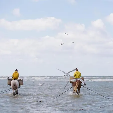 Nieuwpoort Near Promenade Apartamento *