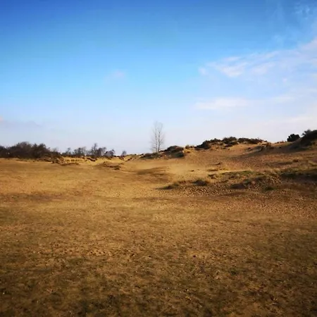 Nieuwpoort Near Promenade *