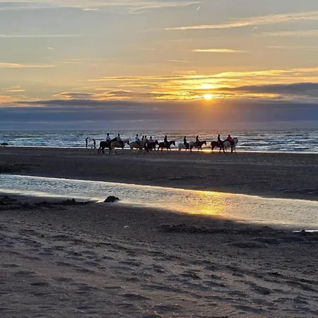 Apartamento Nieuwpoort Near Promenade Oostduinkerke